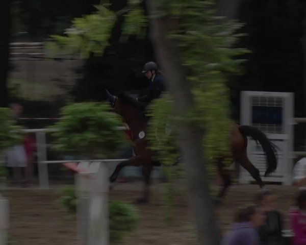 Reitturnier Prussendorf 2018