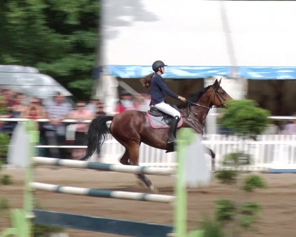 Reitturnier Prussendorf 2018