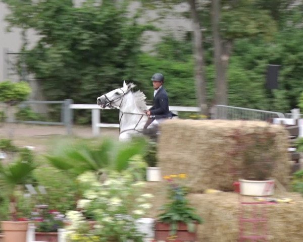 Reitturnier Prussendorf 2018