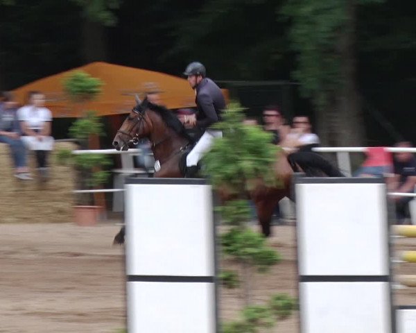 Reitturnier Prussendorf 2018