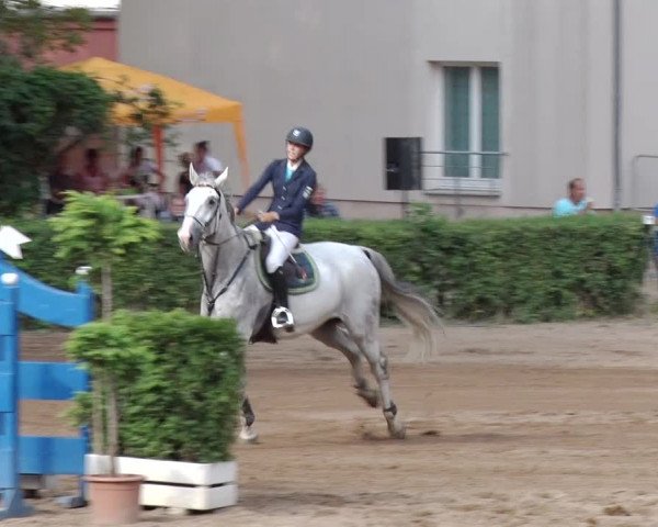 Reitturnier Prussendorf 2018