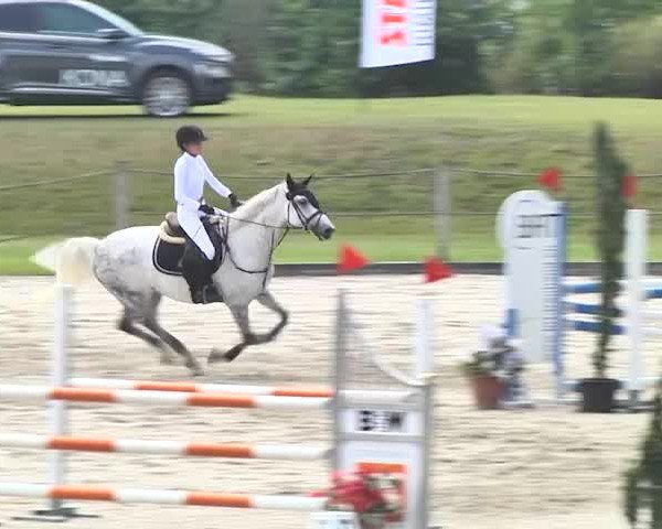 Sommerspringen Turbenthal 2018