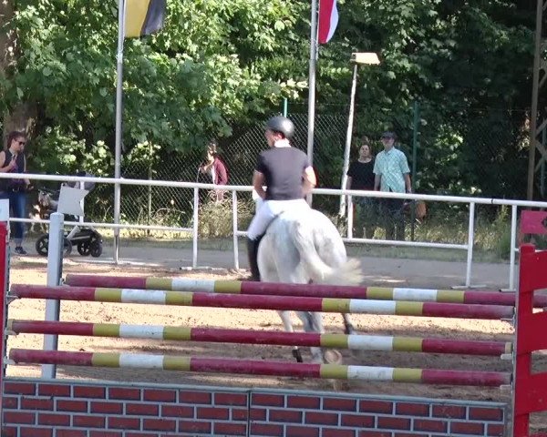 Reitturnier Prussendorf 2018