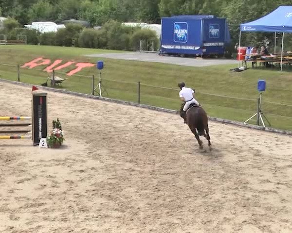 Sommerspringen Turbenthal 2018