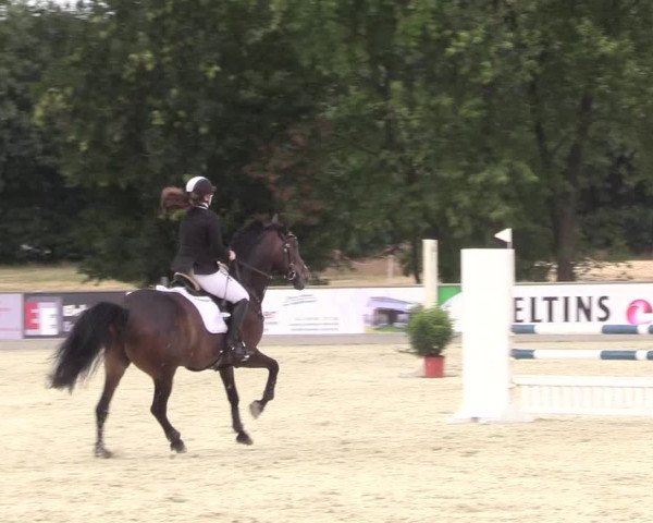 Reitturnier Wietmarschen 2018