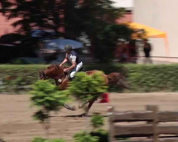 Reitturnier Prussendorf 2018