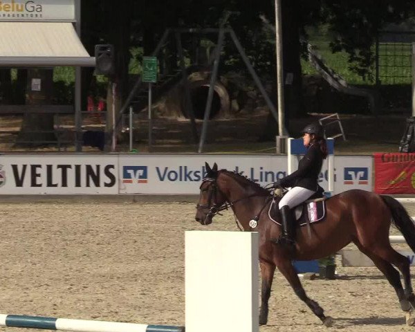 Reitturnier Wietmarschen 2018