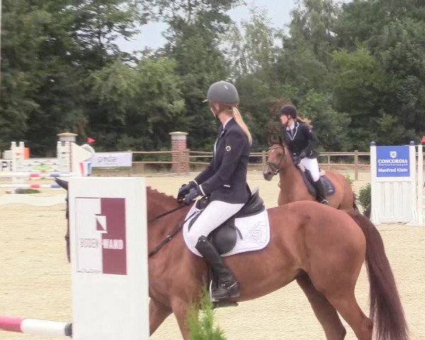 Reitturnier Wietmarschen 2018