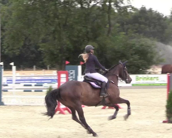 Reitturnier Wietmarschen 2018
