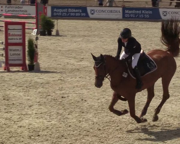 Reitturnier Wietmarschen 2018