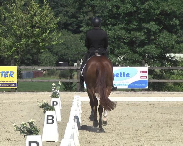 CDI**** Leudelange (LUX) 2018