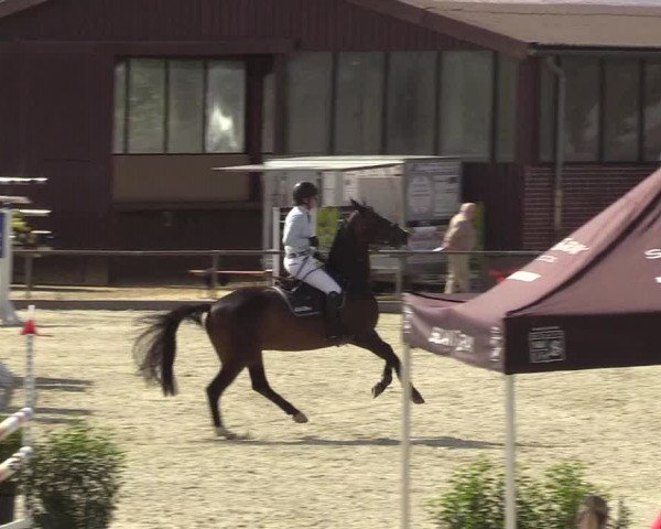 Reitturnier Wietmarschen 2018