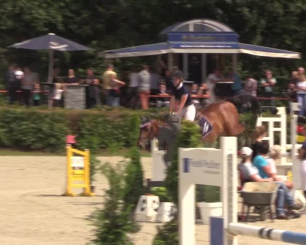 Reitturnier Vlotho-Exter 2018