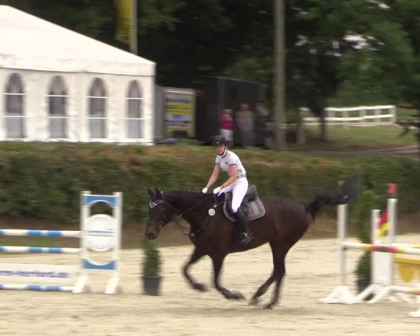 Reitturnier Vlotho-Exter 2018
