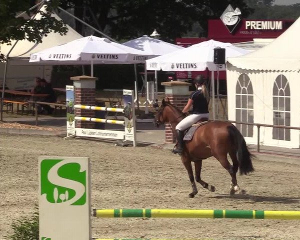 Reitturnier Wietmarschen 2018