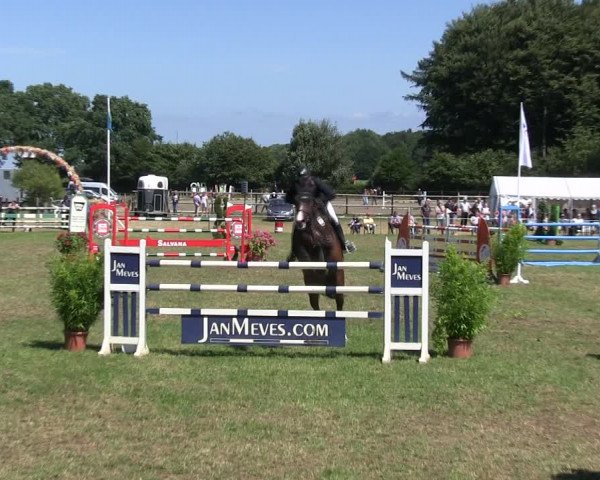 Reitturnier Hanerau-Hademarschen 2018