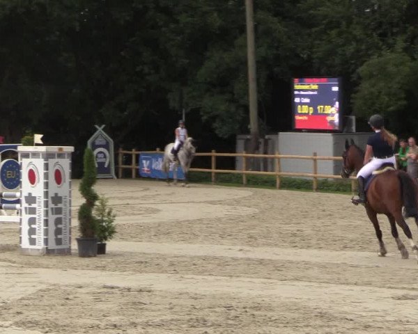 Reitturnier Vlotho-Exter 2018