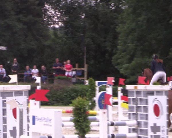 Reitturnier Vlotho-Exter 2018