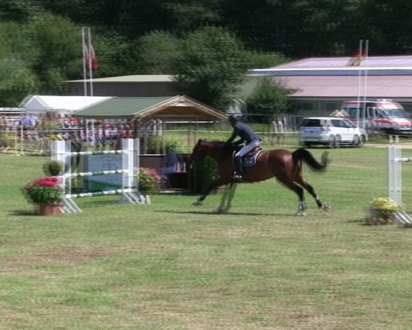 Reitturnier Hanerau-Hademarschen 2018