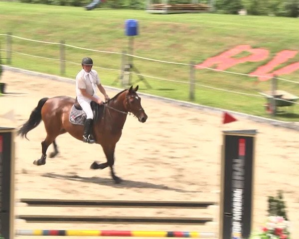 Sommerspringen Turbenthal 2018