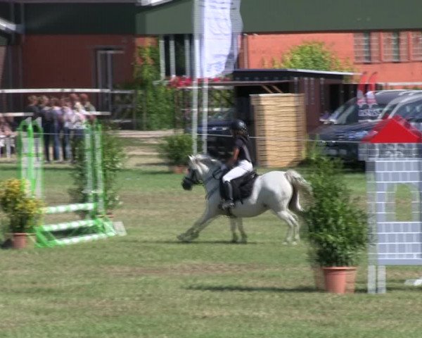 Reitturnier Hanerau-Hademarschen 2018