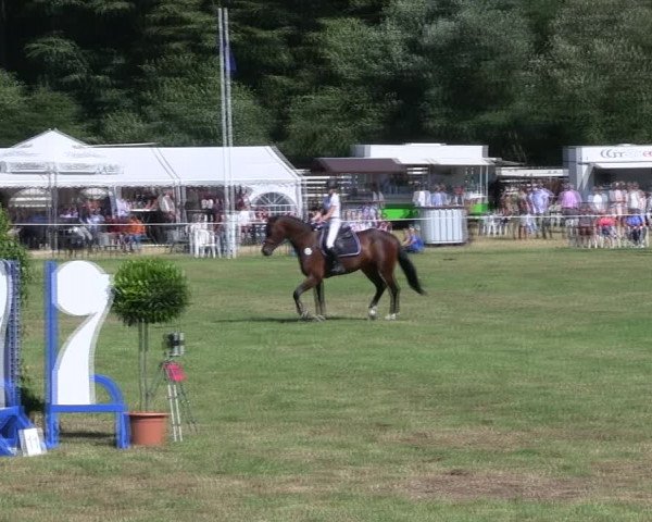 Reitturnier Hanerau-Hademarschen 2018