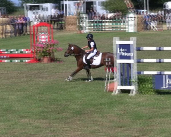 Reitturnier Hanerau-Hademarschen 2018
