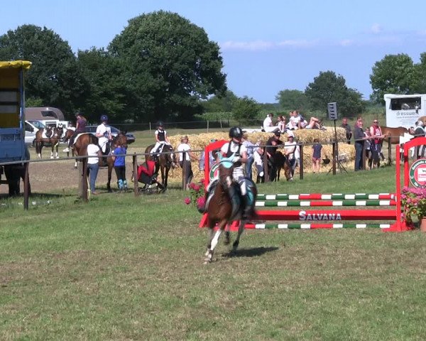 Reitturnier Hanerau-Hademarschen 2018