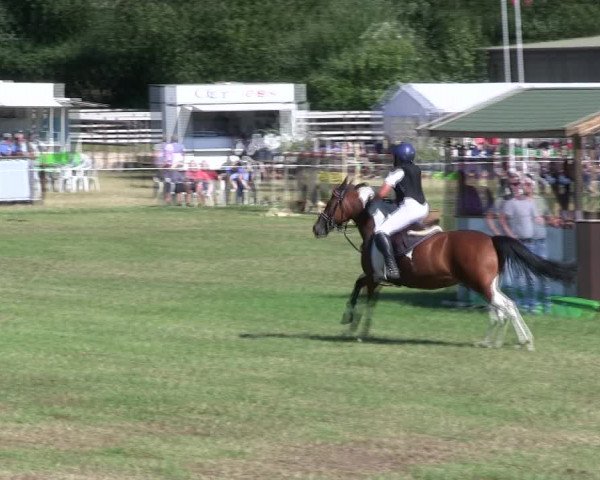 Reitturnier Hanerau-Hademarschen 2018