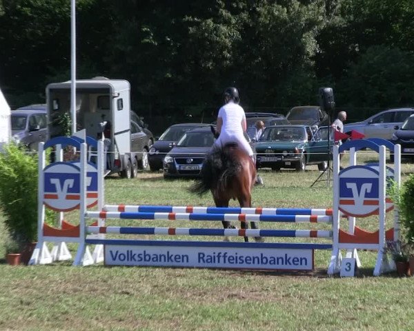 Reitturnier Hanerau-Hademarschen 2018