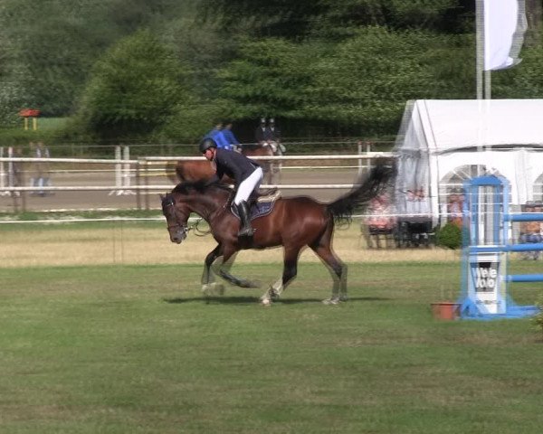 Reitturnier Hanerau-Hademarschen 2018