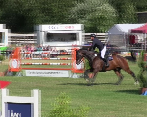 Reitturnier Hanerau-Hademarschen 2018