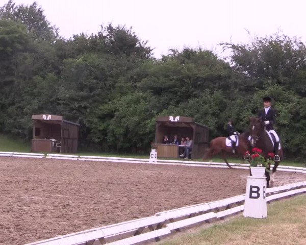 Reitturnier Vlotho-Exter 2018