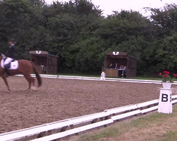 Reitturnier Vlotho-Exter 2018
