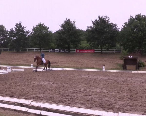 Reitturnier Vlotho-Exter 2018