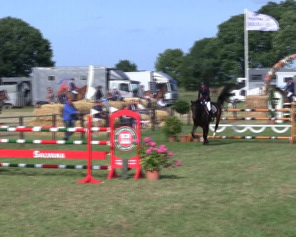 Reitturnier Hanerau-Hademarschen 2018