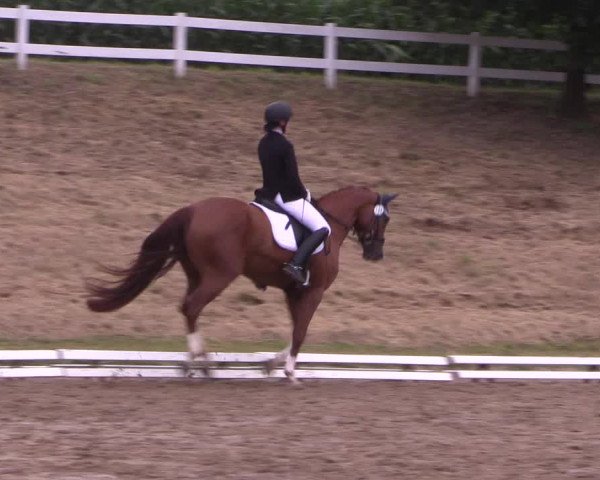 Reitturnier Vlotho-Exter 2018