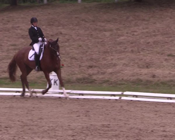 Reitturnier Vlotho-Exter 2018
