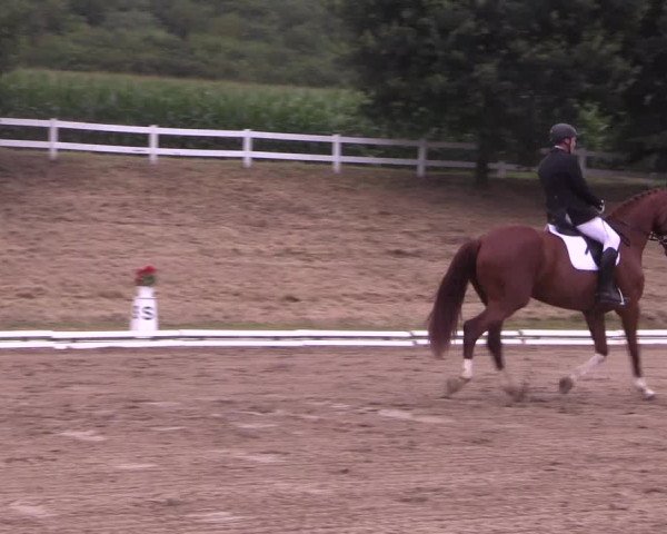 Reitturnier Vlotho-Exter 2018