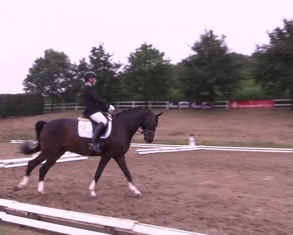 Reitturnier Vlotho-Exter 2018