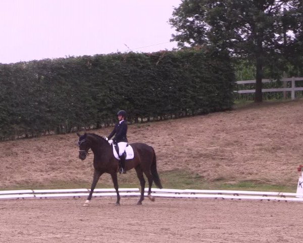 Reitturnier Vlotho-Exter 2018