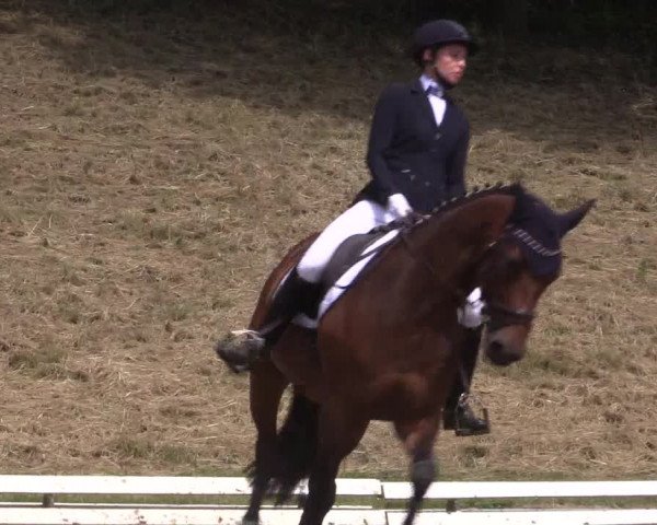 Reitturnier Vlotho-Exter 2018