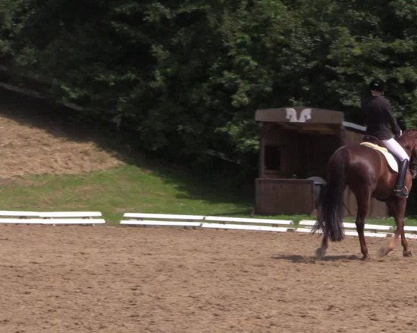 Reitturnier Vlotho-Exter 2018