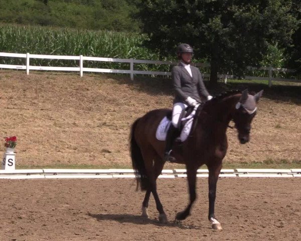 Reitturnier Vlotho-Exter 2018