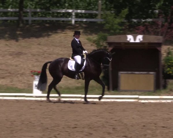 Reitturnier Vlotho-Exter 2018
