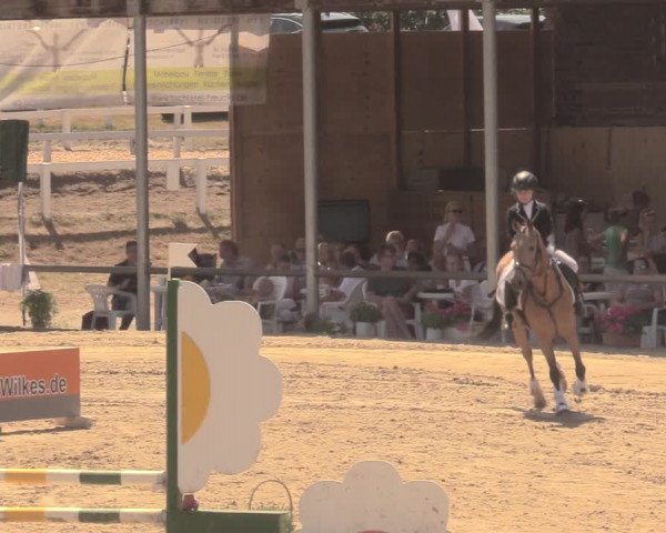 Reitturnier Letmathe 2018