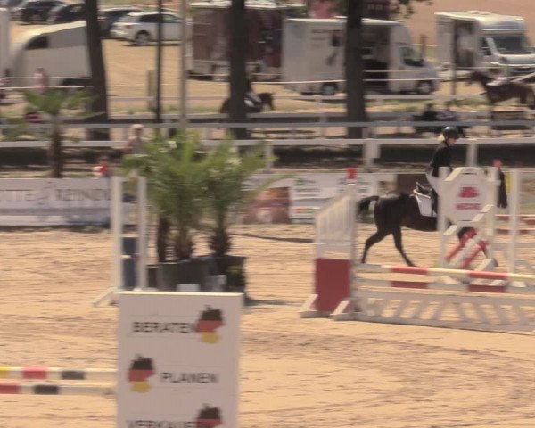 Reitturnier Letmathe 2018