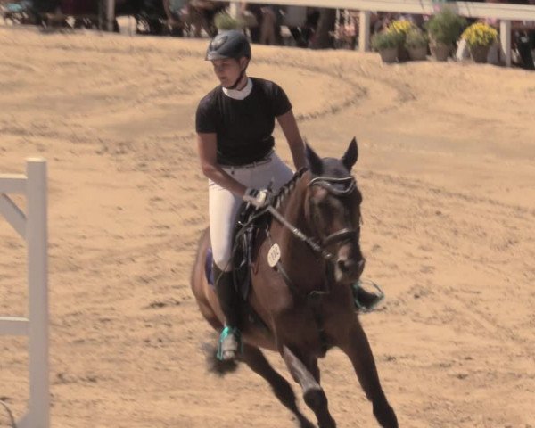 Reitturnier Letmathe 2018