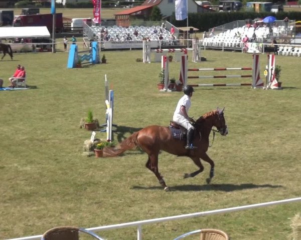 Reitturnier Allrode 2018