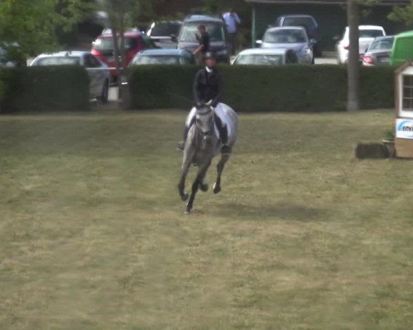 Reitturnier Allrode 2018